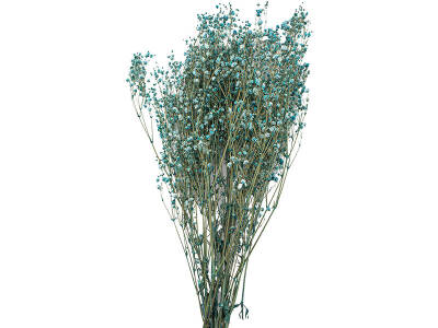 Açık Turkuaz Şoklanmış Cipso Kuru Çiçek - 1