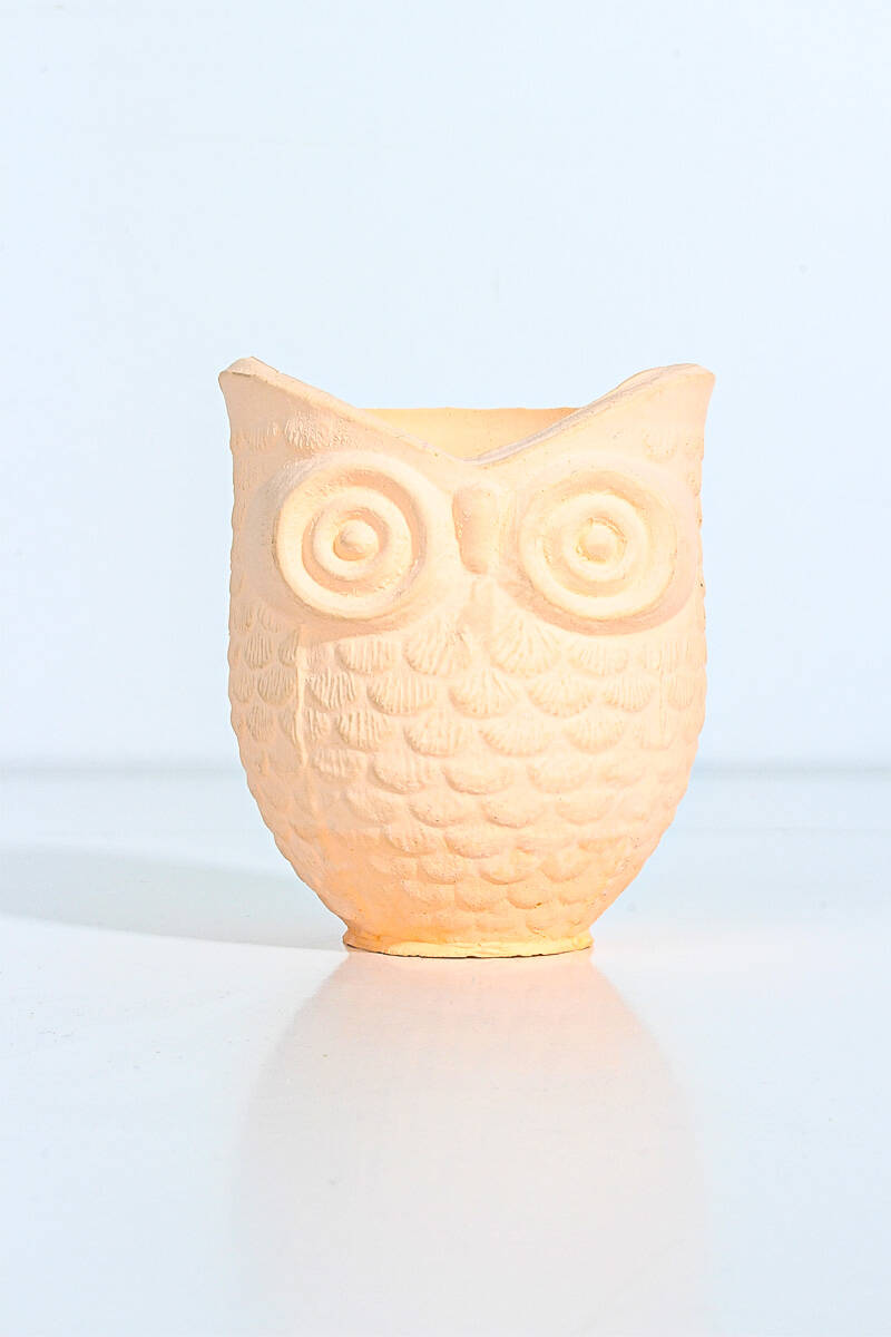 Baykuş Figür Sukulent Beton Saksı Silikon Kalıbı KHB64 - 1