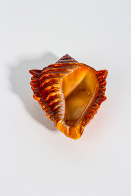 Deniz Kabuğu Dekoratif Biblo Beton Taş Tozu Silikon Kalıbı KHB126 - 3