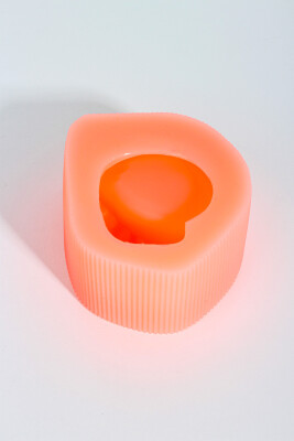 Deniz Salyangozu Kabuğu Dekoratif Biblo Beton Taş Tozu Silikon Kalıbı KHB114 - 4