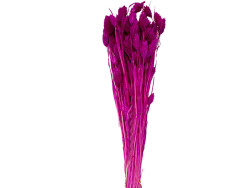 Fuşya Kuş Otu Kuru Çiçek Demeti - 