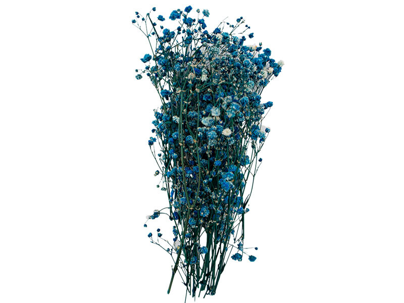 Koyu Turkuaz Şoklanmış Cipso Kuru Çiçek - 