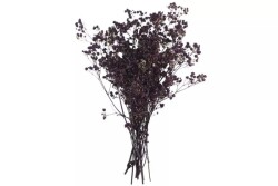 Kuru Çiçek Mor Taneli - Cipso - 