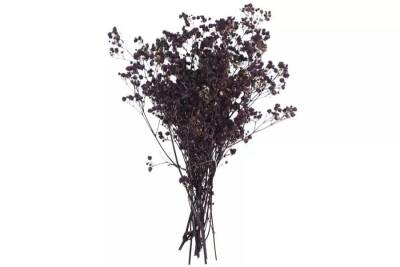 Kuru Çiçek Mor Taneli - Cipso - 1