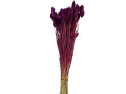 Mürdüm Kuş Otu Kuru Çiçek Demeti - 