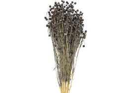 Siyah Keten Otu Kuru Çiçek Demeti - 